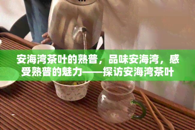 安海湾茶叶的熟普，品味安海湾，感受熟普的魅力——探访安海湾茶叶