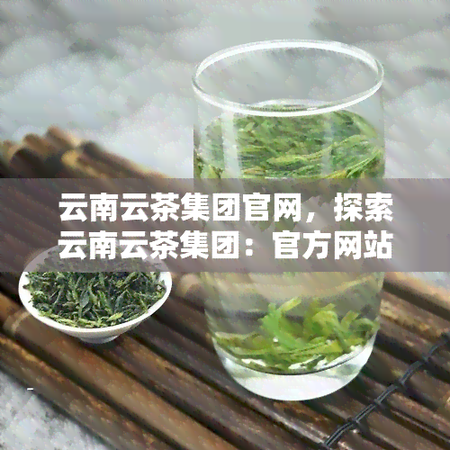 云南云茶集团官网，探索云南云茶集团：官方网站为您提供最新茶叶信息