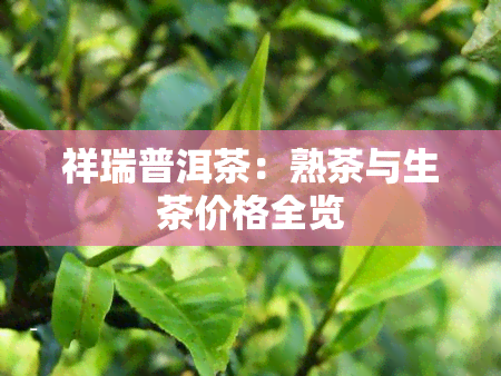 祥瑞普洱茶：熟茶与生茶价格全览