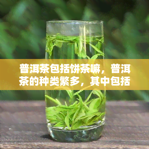 普洱茶包括饼茶嘛，普洱茶的种类繁多，其中包括饼茶吗？