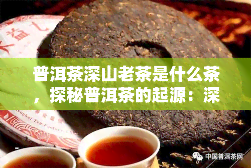 普洱茶深山老茶是什么茶，探秘普洱茶的起源：深山老茶，你了解吗？