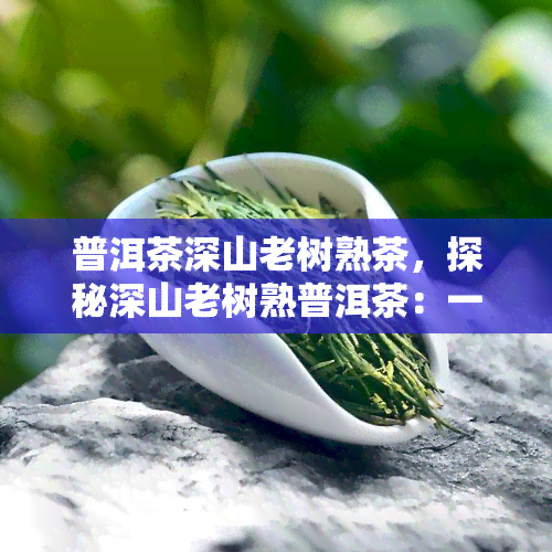 普洱茶深山老树熟茶，探秘深山老树熟普洱茶：一种独特的茶叶体验