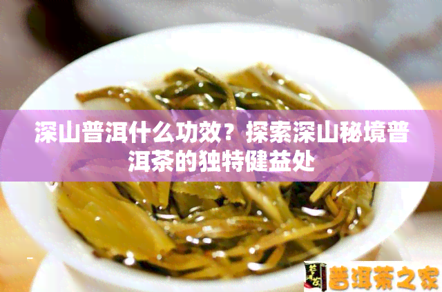 深山普洱什么功效？探索深山秘境普洱茶的独特健益处