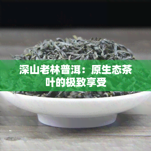 深山老林普洱：原生态茶叶的极致享受