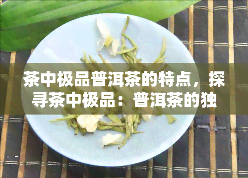 茶中极品普洱茶的特点，探寻茶中极品：普洱茶的独特特点解析