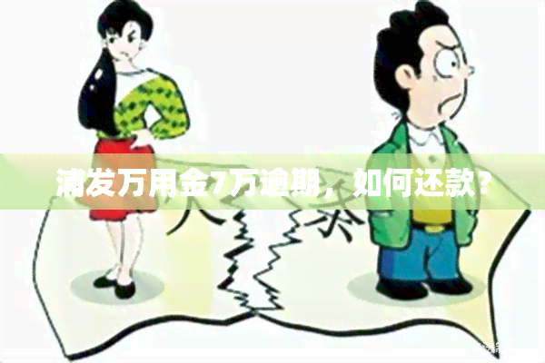 浦发万用金7万逾期，如何还款？