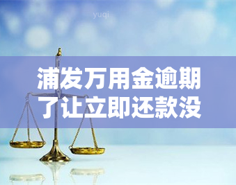 浦发万用金逾期了让立即还款没有钱怎么办，浦发万用金逾期，无法立即还款，应该采取哪些措？