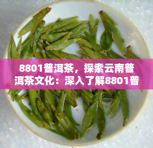 8801普洱茶，探索云南普洱茶文化：深入了解8801普洱茶的奥秘