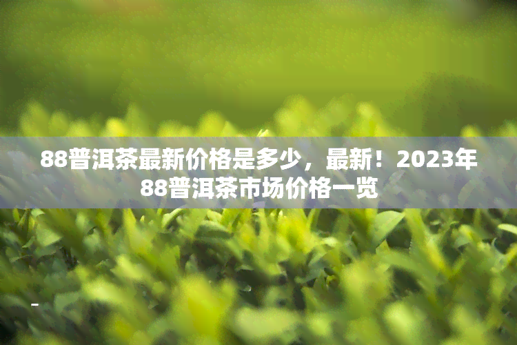 88普洱茶最新价格是多少，最新！2023年88普洱茶市场价格一览