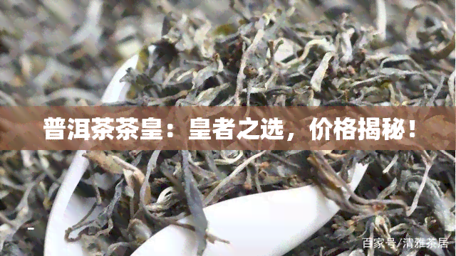 普洱茶茶皇：皇者之选，价格揭秘！