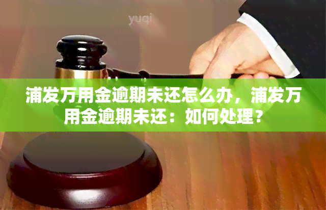 浦发万用金逾期未还怎么办，浦发万用金逾期未还：如何处理？