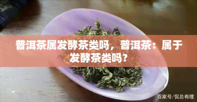 普洱茶属发酵茶类吗，普洱茶：属于发酵茶类吗？