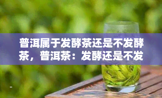 普洱属于发酵茶还是不发酵茶，普洱茶：发酵还是不发酵？