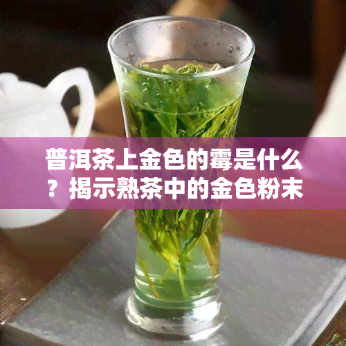 普洱茶上金色的霉是什么？揭示熟茶中的金色粉末现象