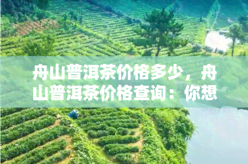 舟山普洱茶价格多少，舟山普洱茶价格查询：你想知道的都在这里！