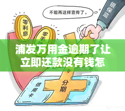 浦发万用金逾期了让立即还款没有钱怎么办，浦发万用金逾期，无法立即还款，应采取何种应对措？