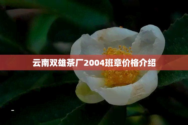 云南双雄茶厂2004班章价格介绍