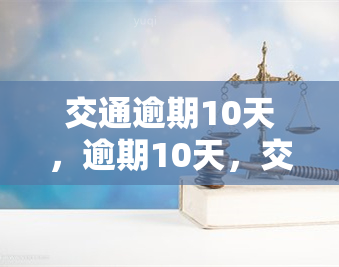 交通逾期10天，逾期10天，交通问题怎么办？