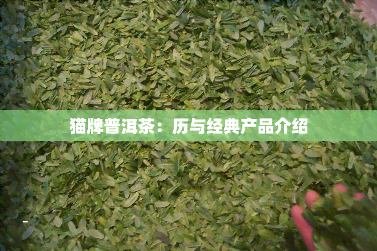 猫牌普洱茶：历与经典产品介绍