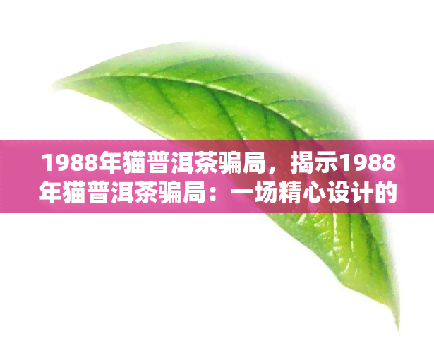 1988年猫普洱茶骗局，揭示1988年猫普洱茶骗局：一场精心设计的金融欺诈