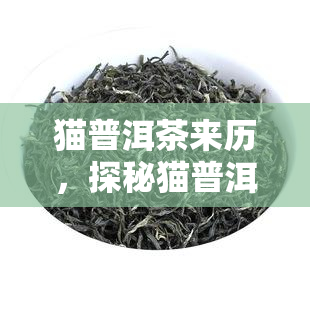 猫普洱茶来历，探秘猫普洱茶的来历与故事