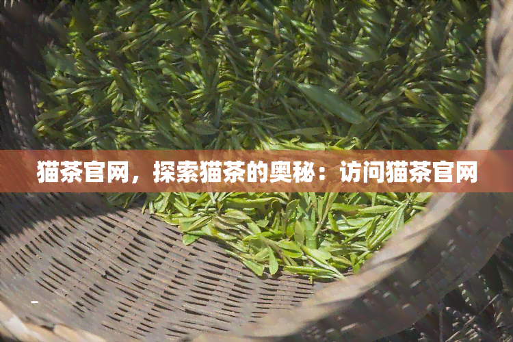 猫茶官网，探索猫茶的奥秘：访问猫茶官网