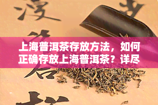 上海普洱茶存放方法，如何正确存放上海普洱茶？详尽的存指南