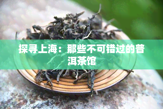 探寻上海：那些不可错过的普洱茶馆