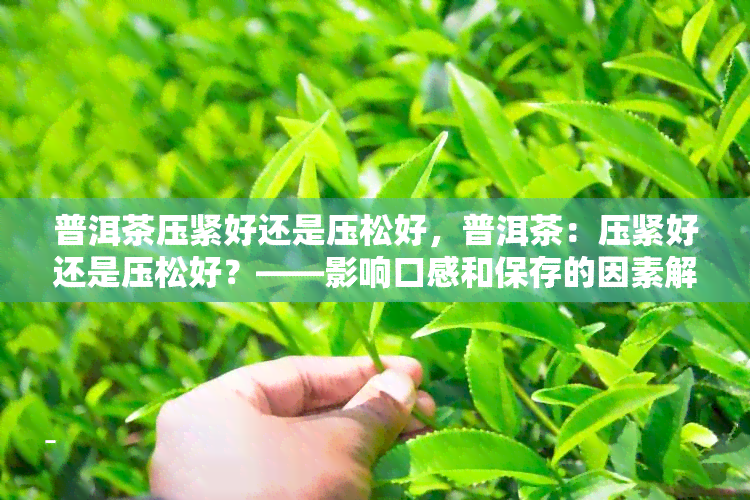 普洱茶压紧好还是压松好，普洱茶：压紧好还是压松好？——影响口感和保存的因素解析