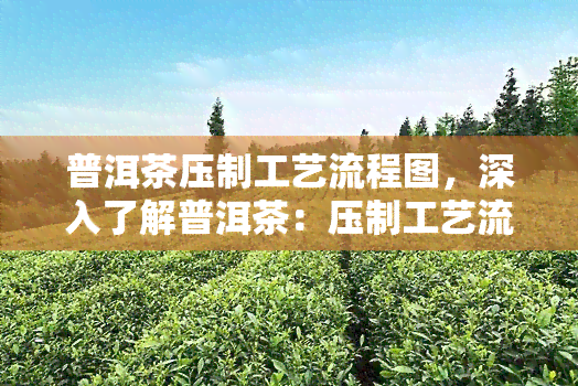 普洱茶压制工艺流程图，深入了解普洱茶：压制工艺流程图详解