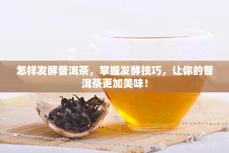 怎样发酵普洱茶，掌握发酵技巧，让你的普洱茶更加美味！