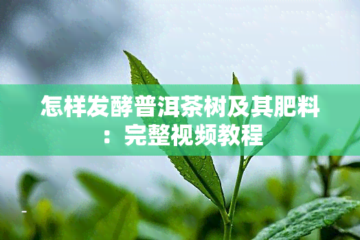 怎样发酵普洱茶树及其肥料：完整视频教程