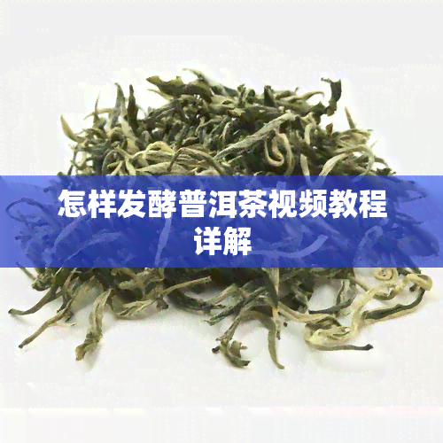 怎样发酵普洱茶视频教程详解