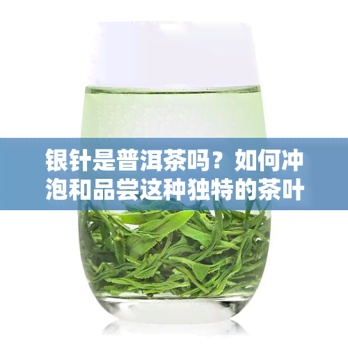 银针是普洱茶吗？如何冲泡和品尝这种独特的茶叶？