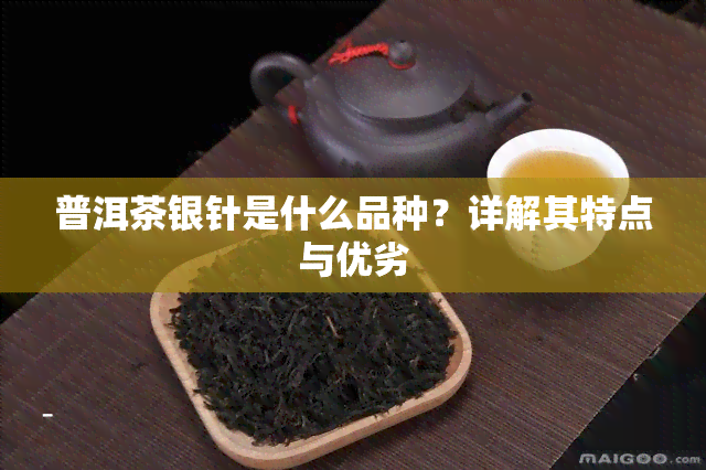 普洱茶银针是什么品种？详解其特点与优劣