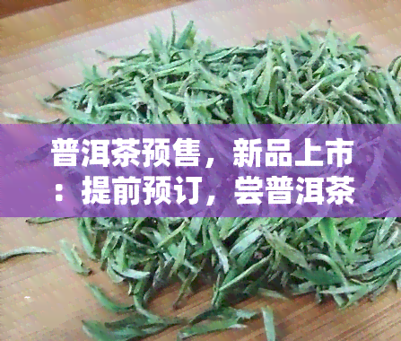 普洱茶预售，新品上市：提前预订，尝普洱茶！