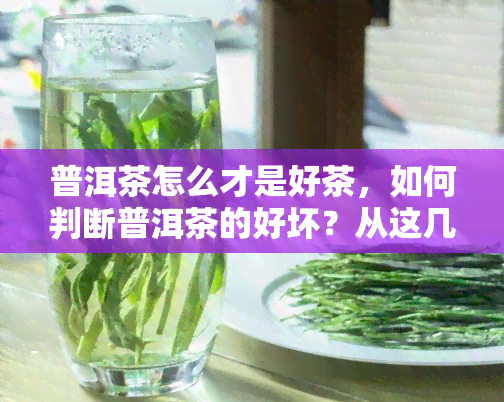 普洱茶怎么才是好茶，如何判断普洱茶的好坏？从这几个方面入手！