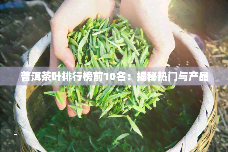 普洱茶叶排行榜前10名：揭秘热门与产品