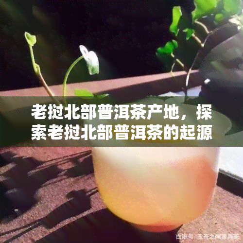 老挝北部普洱茶产地，探索老挝北部普洱茶的起源与魅力