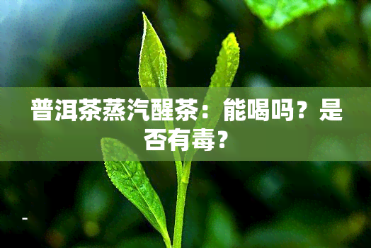 普洱茶蒸汽醒茶：能喝吗？是否有毒？