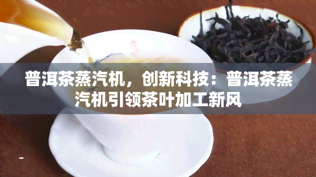 普洱茶蒸汽机，创新科技：普洱茶蒸汽机引领茶叶加工新风