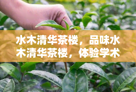 水木清华茶楼，品味水木清华茶楼，体验学术与文化的交融