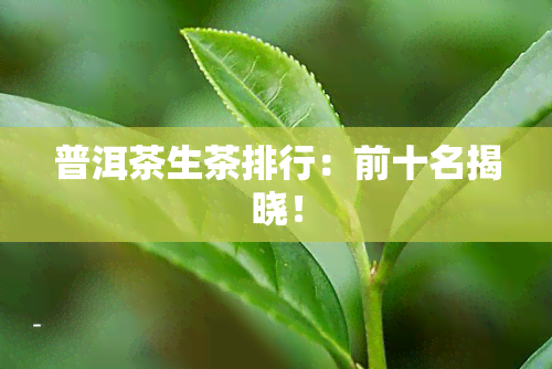 普洱茶生茶排行：前十名揭晓！