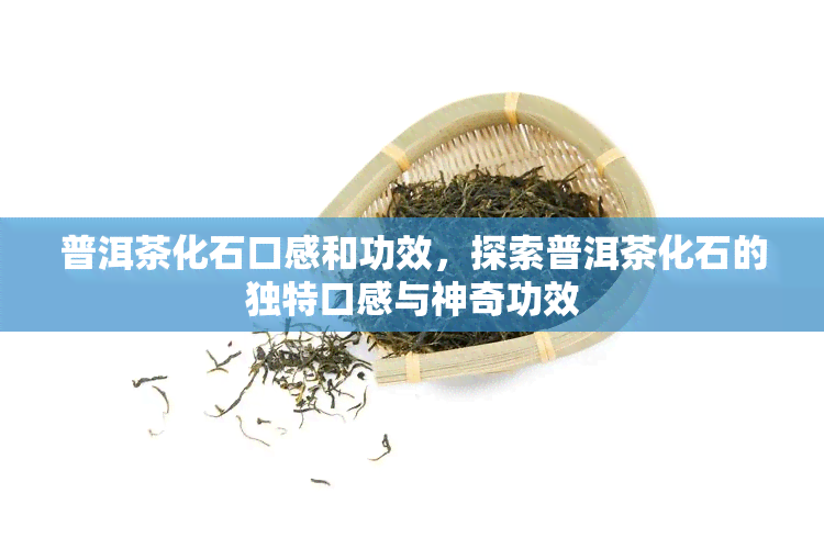 普洱茶化石口感和功效，探索普洱茶化石的独特口感与神奇功效