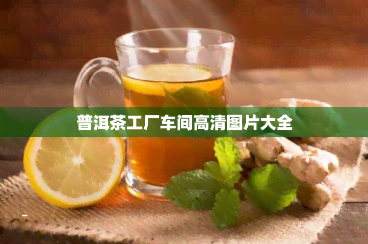 普洱茶工厂车间高清图片大全