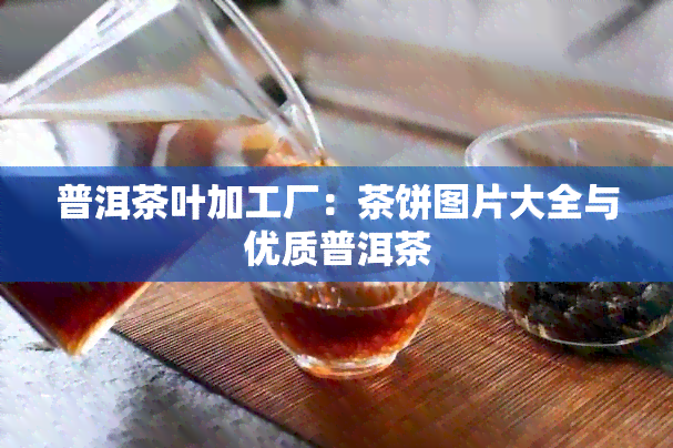 普洱茶叶加工厂：茶饼图片大全与优质普洱茶