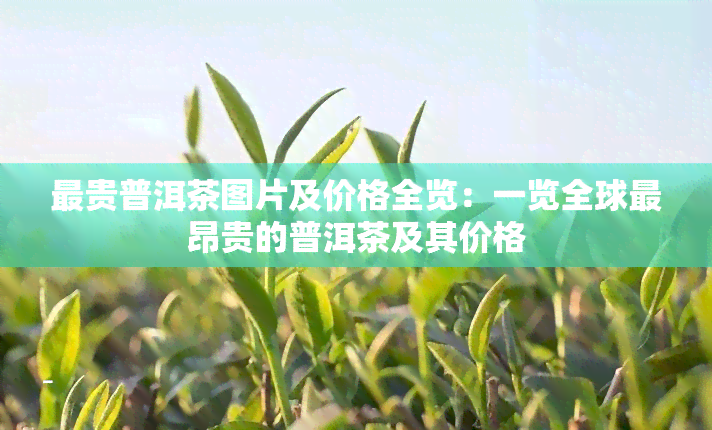 最贵普洱茶图片及价格全览：一览全球最昂贵的普洱茶及其价格