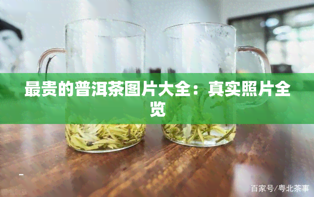 最贵的普洱茶图片大全：真实照片全览