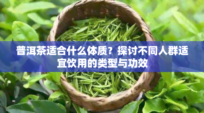 普洱茶适合什么体质？探讨不同人群适宜饮用的类型与功效