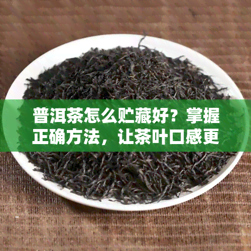 普洱茶怎么贮藏好？掌握正确方法，让茶叶口感更佳！